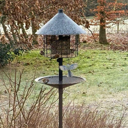 Sortenæb lyxig viltfågelblandning