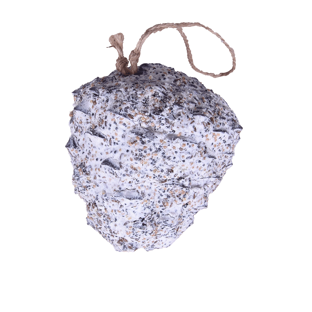 Luxuriöser Meisenknödel