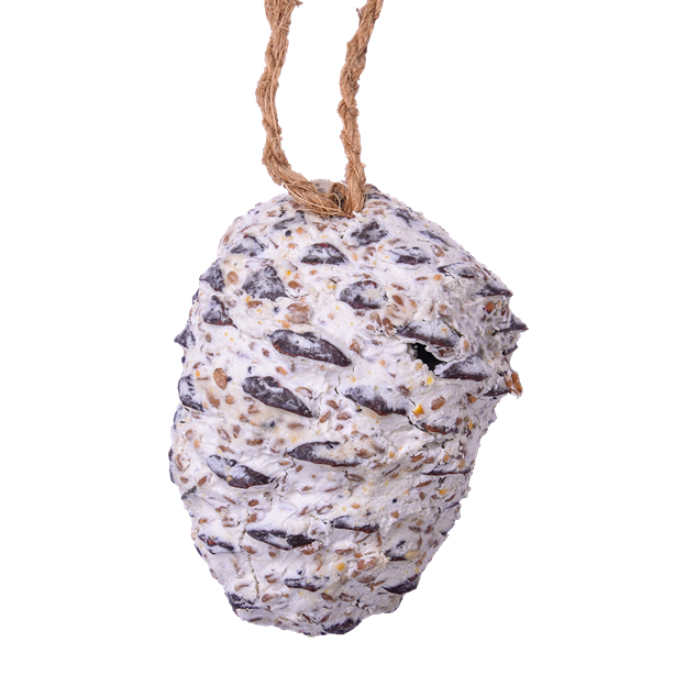 Luxuriöser Meisenknödel
