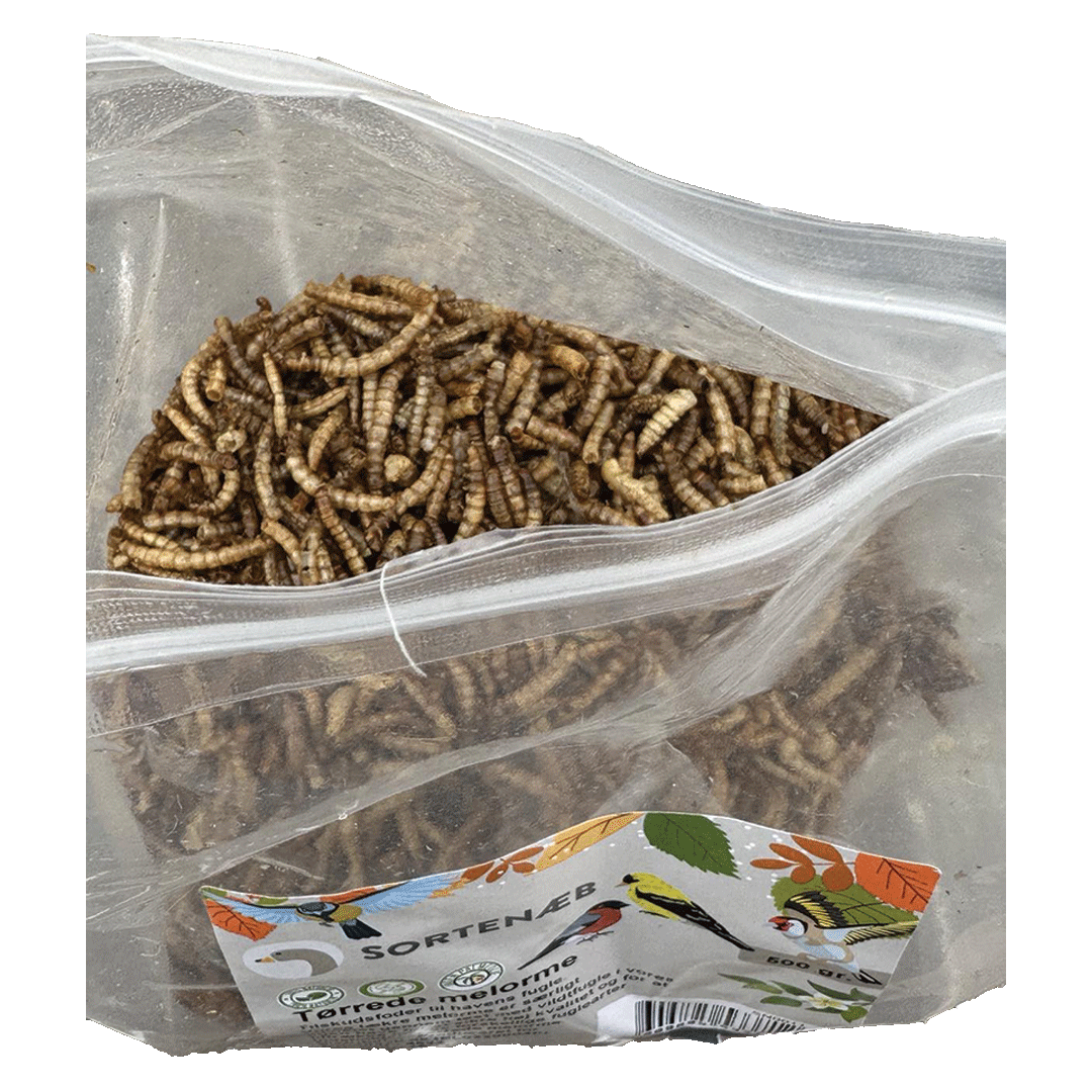 Sortenaeb getrocknete Mehlwürmer – 0,5 kg
