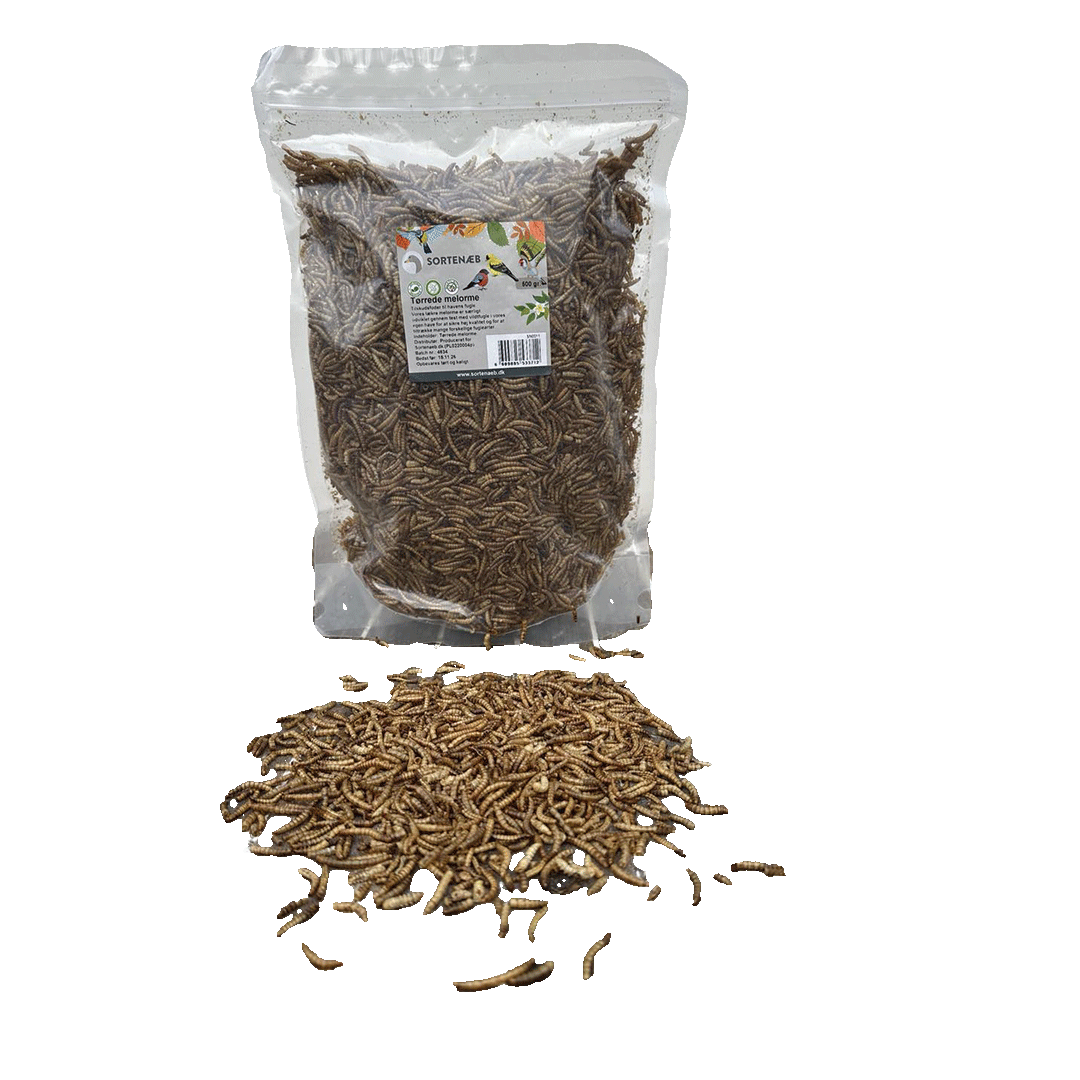 Sortenaeb getrocknete Mehlwürmer – 0,5 kg