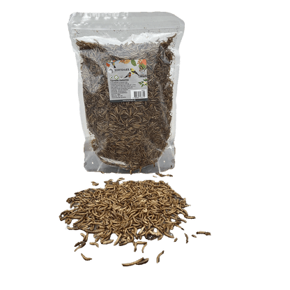 Sortenaeb getrocknete Mehlwürmer – 0,5 kg