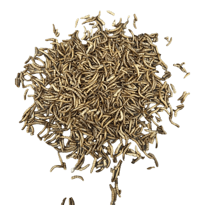 Sortenaeb getrocknete Mehlwürmer – 0,5 kg