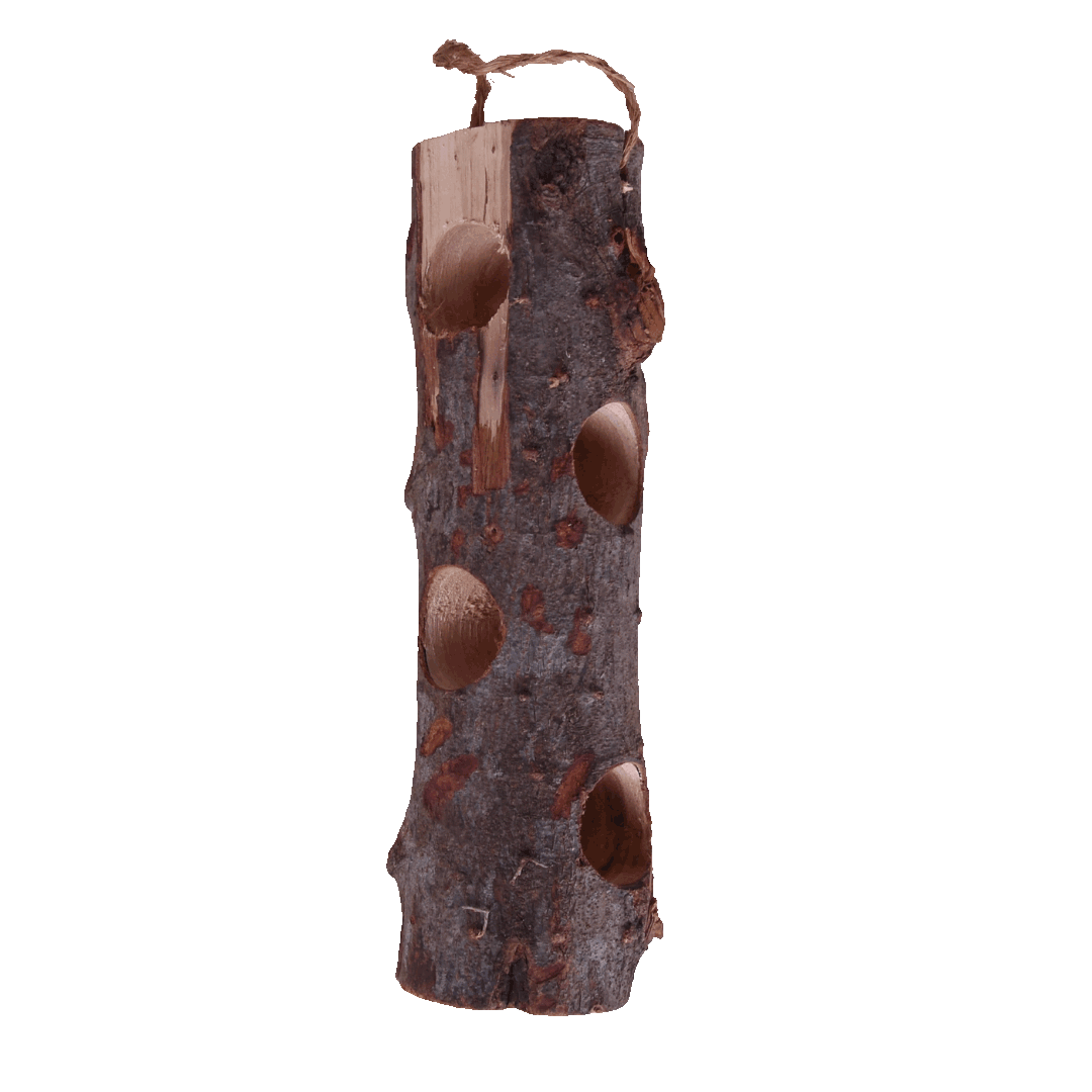 Sortimentsnäbb Holzhalter für Talrollen