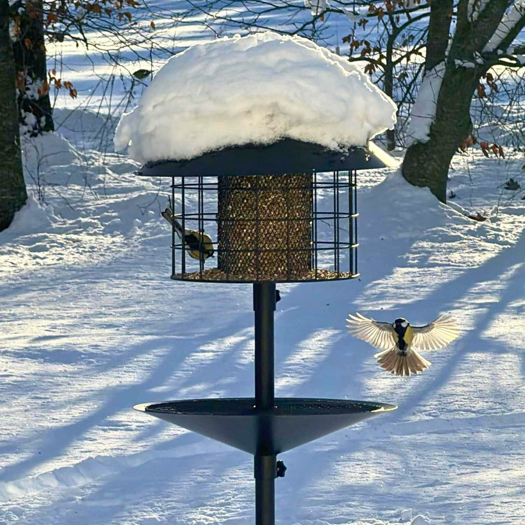 Råttsäker fågelmatare